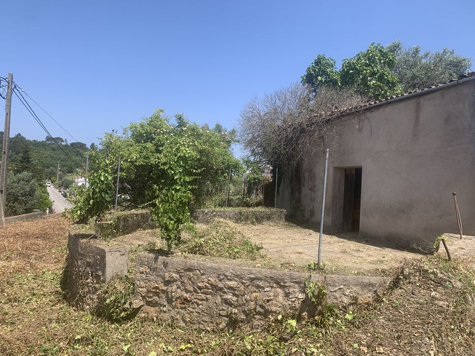 Limpeza Telhados/terrenos