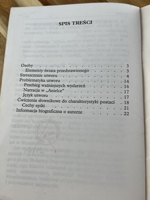 Anielka Bolesław Prus Streszczenie Problematyka