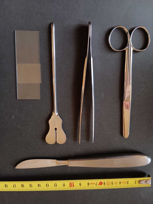 Kit de 5 utensílios de laboratório da década de 70
