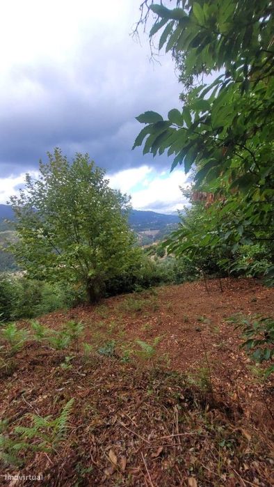 Terreno - Parada de Bouro