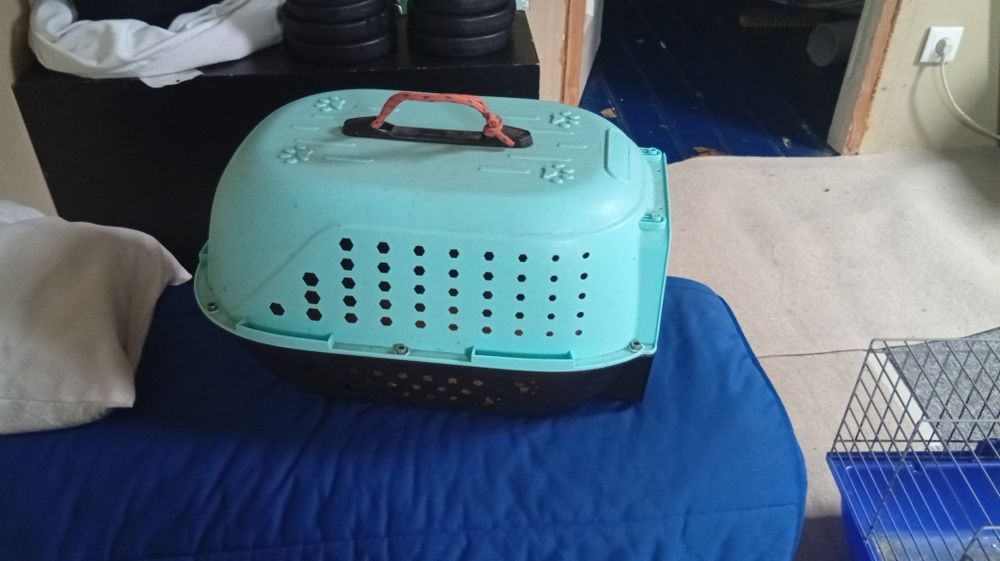 Transporter dla królika