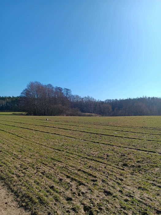 Działki budowlane 1000m2 Winduga