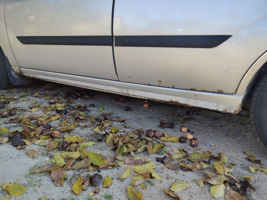 Ford focus MK1 1,6 benzyna