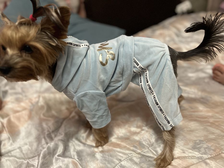 Одяг для собак костюм спотривний