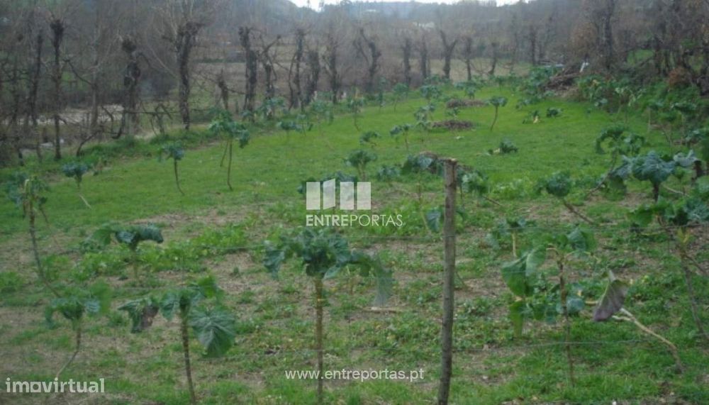 Venda Terreno, vista desafogada, Campelo, Baião — Campelo E Ovil, Porto