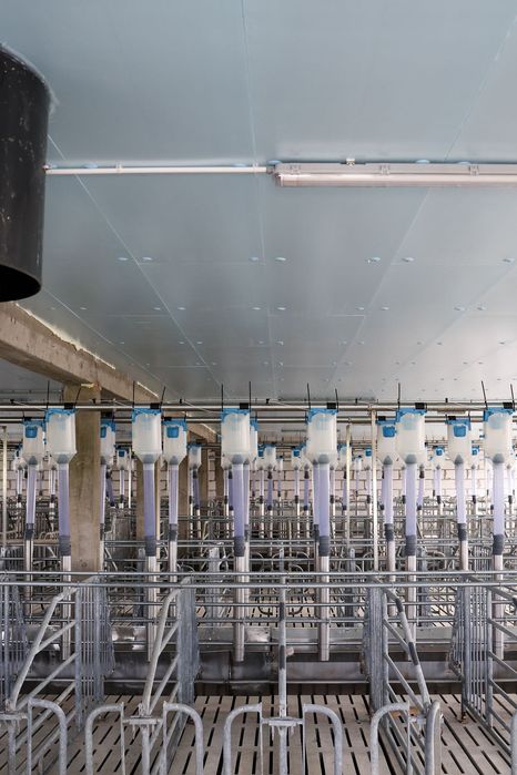 Płyty Termoizolacyjne Dachowe Styrodur XPS AGRO Podsufitka Podbitka
