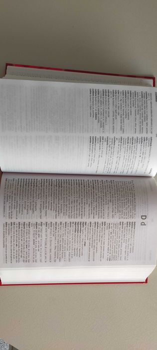 Dicionário Português, Inglês, Espanhol e Francês