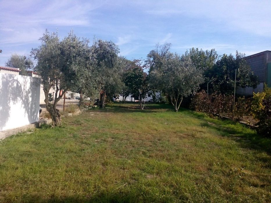 QUINTA Situada a 1800 M  da CIDADE de PONTE de SOR