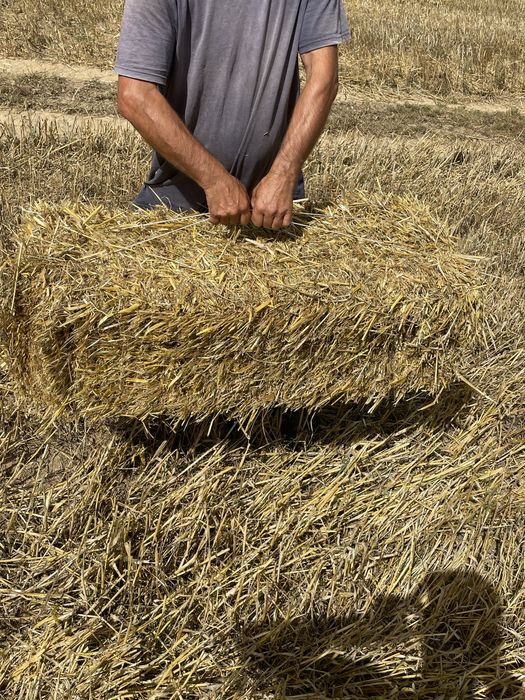 Продам солому в тюках, є необмежена кількість