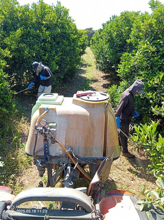 Serviços agrícolas/Agricultural services, land clearing