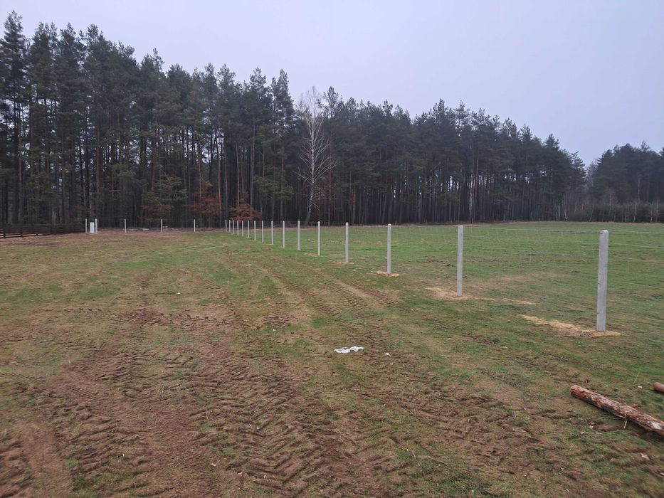 Ogrodzenie z siatki leśnej płot płoty tymczasowe słupki słupek