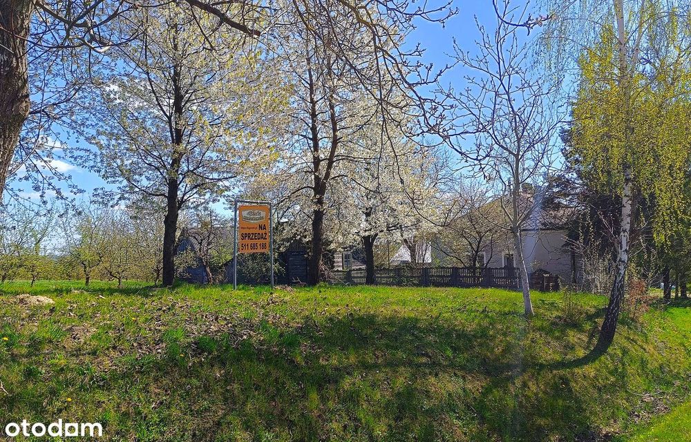 Roztocze - przestrzeń, światło, cisza - Widok 3