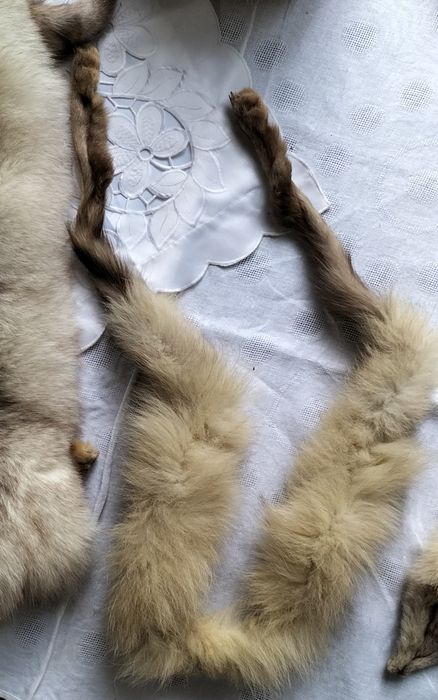 Zestaw - lis biały naturalny