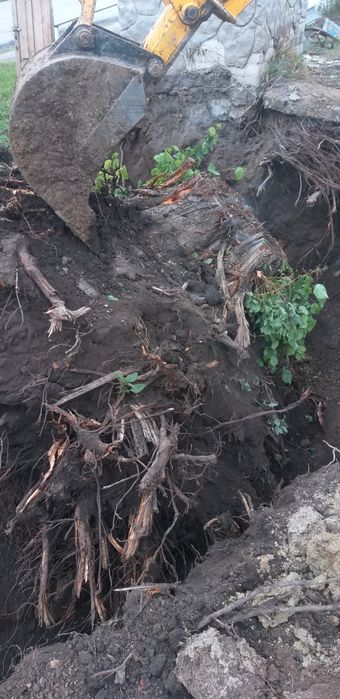 Послуги екскаватора оренда екскаватор копаня траншеї  корчування