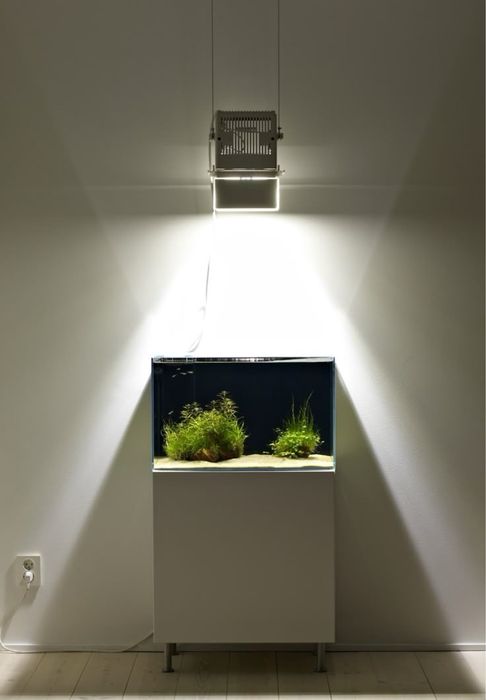 Морський акваріуми під ключ: дизайн, проектування, виробництво