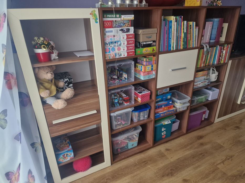 Komplet mebli - szafa, regał,  komin, komoda - w cenie nowej szafy !