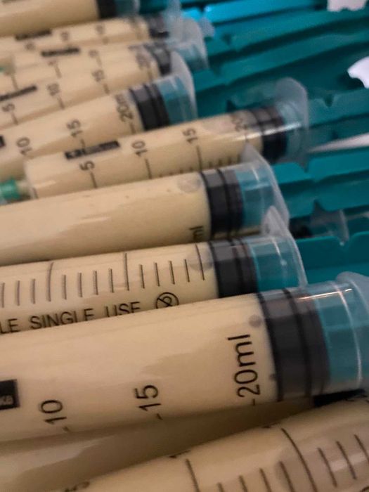 Свіжий 2025 року трутневий гомогенат  свіжо заморожений