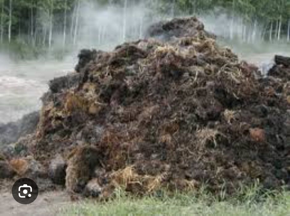 Перегній, компост