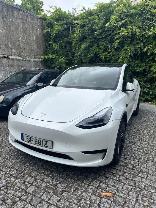 Tesla Model Y Standard