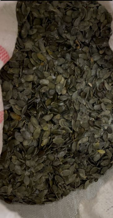 Насіння голосімянного гарбуза