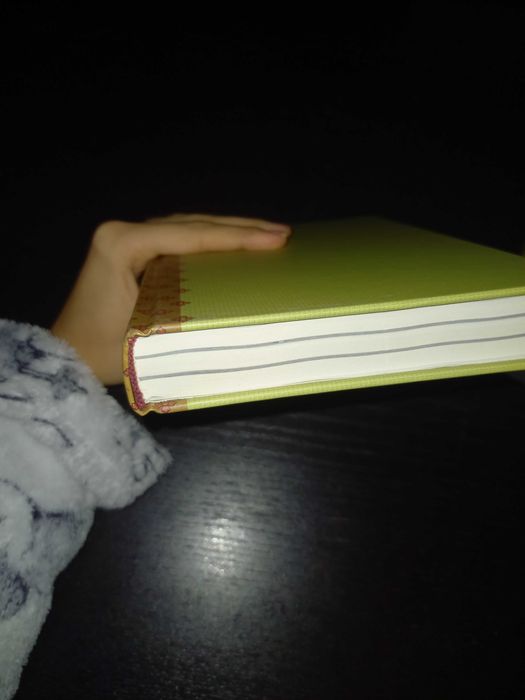 Livro "Fairy Oak - O Segredo das Gémeas"