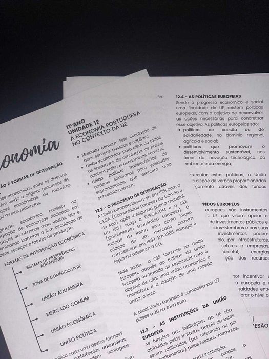 Economics A Summaries for Tests/Exams – 10th/11th Grade (Complete Syllabus)64297806982402122