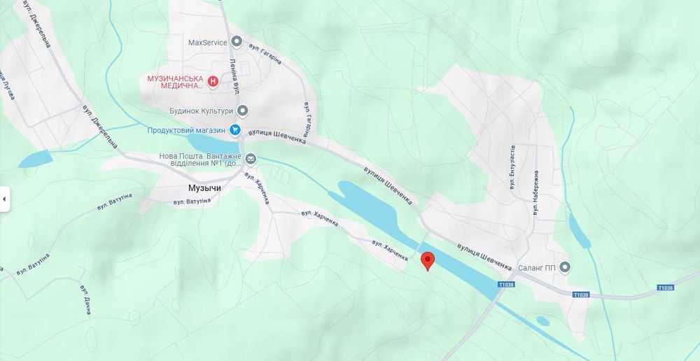 Продаж земельної ділянки в Музичах