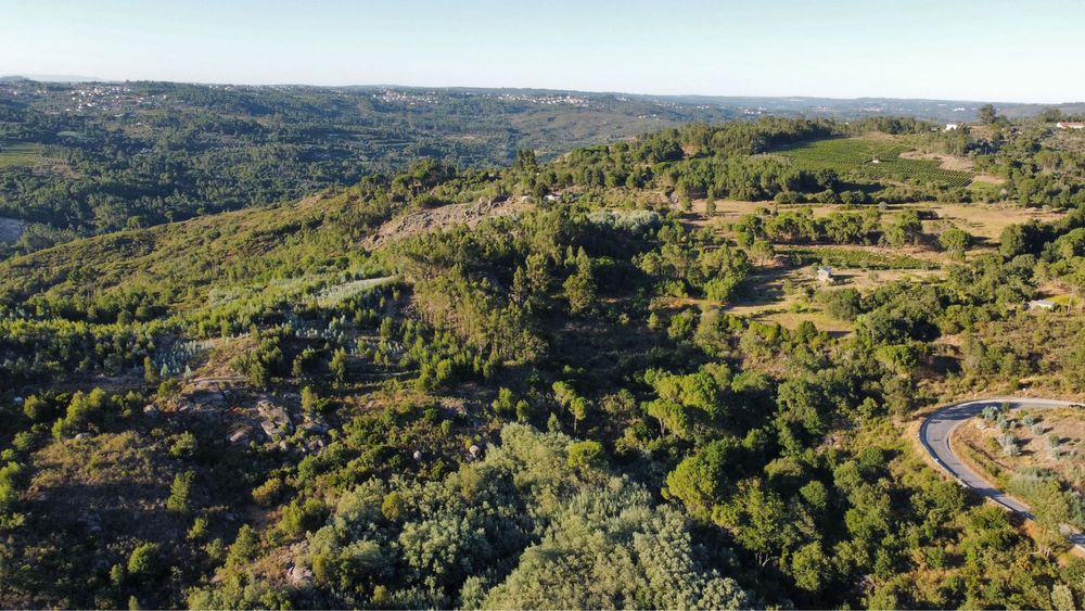 Terreno com 16 hectares para aviários, vinha ou paineis fotovoltaicos