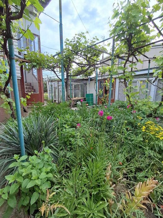 Продається дача в СОГ "Ювілейний"