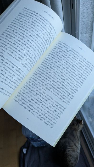 Livro ILUSÃO de Luisa Costa Gomes