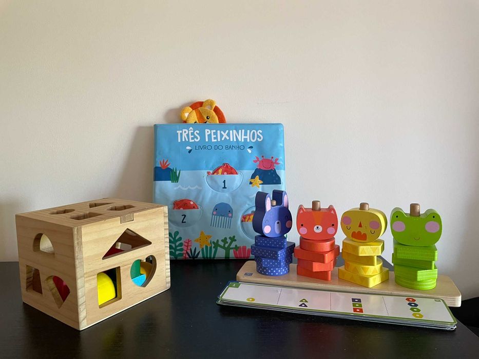 Conjunto de brinquedos em madeira e livro de banho