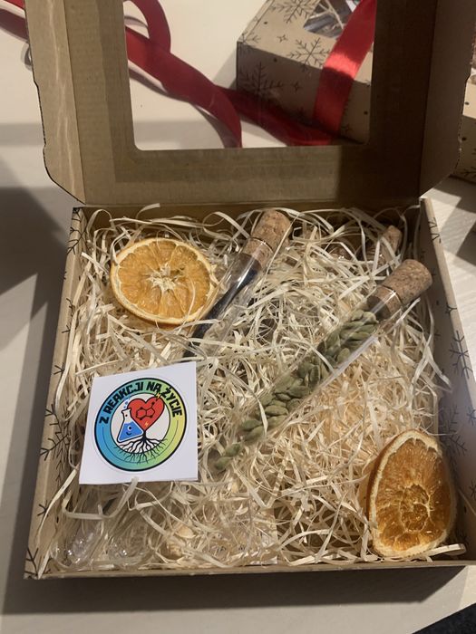 Zestaw naukowy dla dzieci