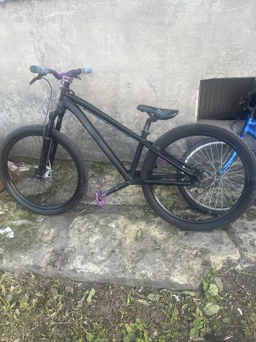 Dirt Kands colt v2