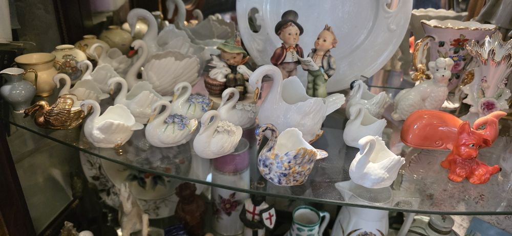 Cisnes vista alegre e Coimbra