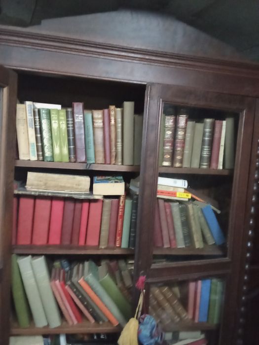 Biblioteca de livros antigos em ótimo estado