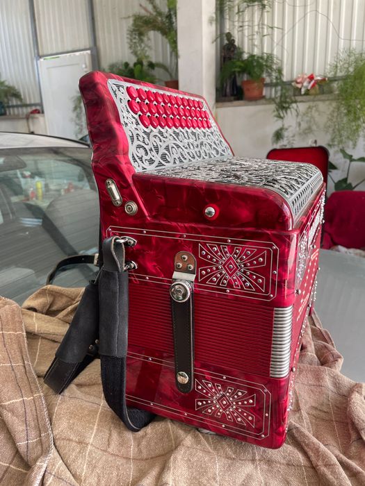 Vendo Concertina como Nova Pouco Uso E’ Uma Super Organola Semi Nova