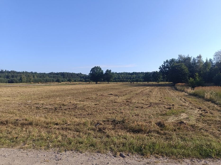 Działka 7500m z wydanymi WZ, 60m szerokości w pięknej okolicy