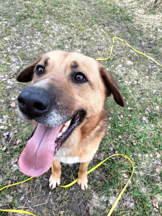 Baron czeka na odpowiedzialnego człowieka