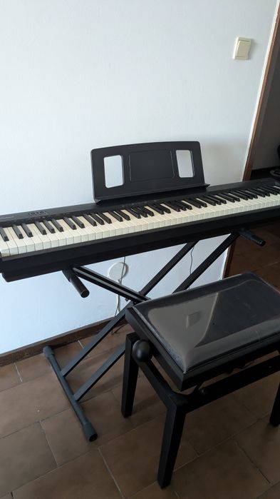 Roland FP-10 + Banco Regulável + Suporte + Caixa Original | Como Novo