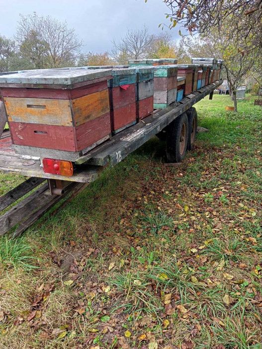 Для ваших бджілок