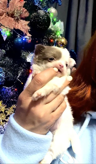 Мальчишечка супер мини