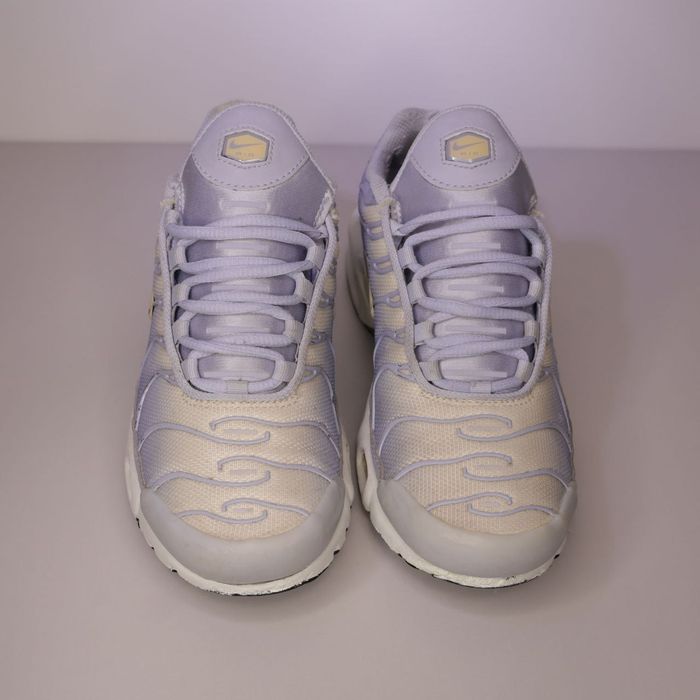 Кросівки Nike Air Max Plus (39р)