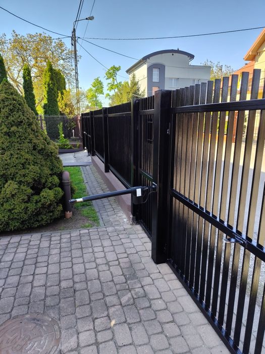 Wycinka drzew pielęgnacja