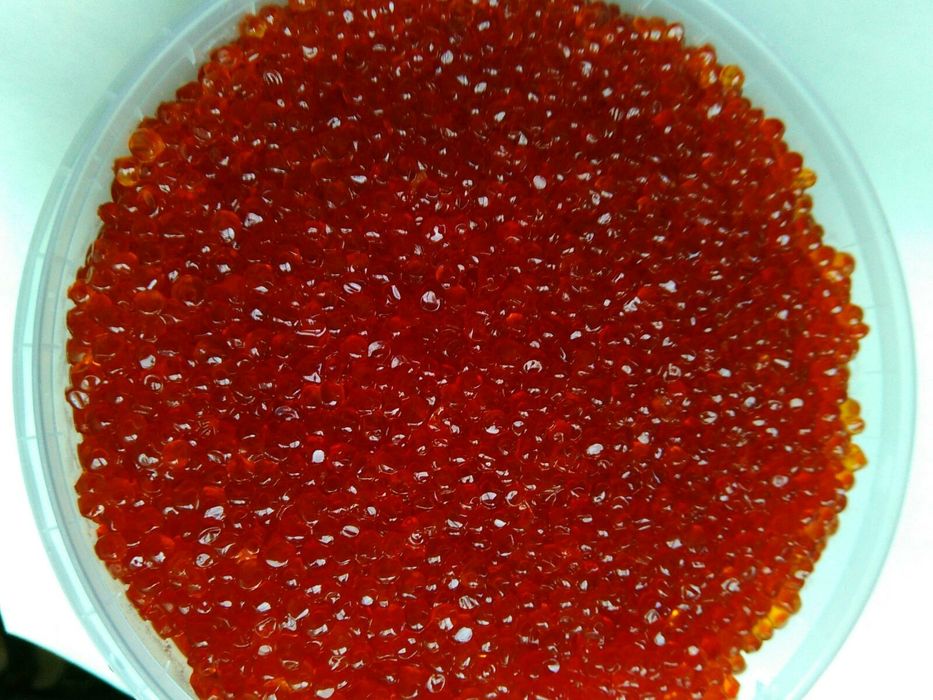 НАСТОЯЩАЯ КРАСНАЯ ИКРА: кета, горбуша,чавыча,нерка,кижуч,форель; голец