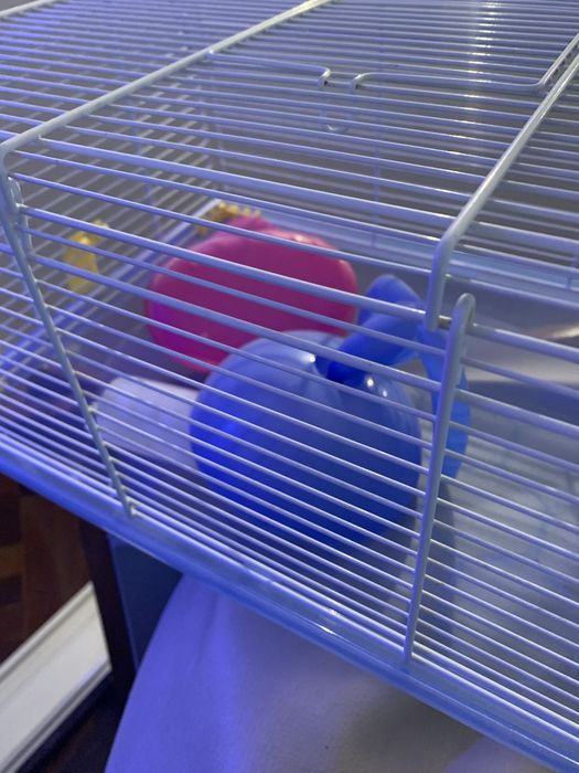 Gaiola para hamsters
