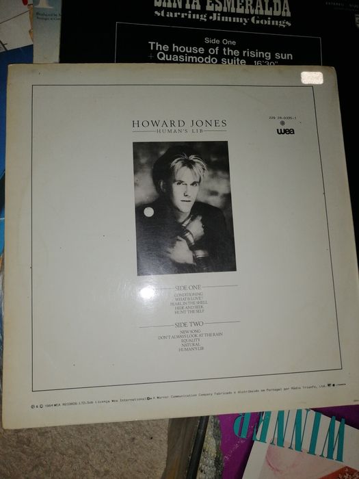 Discos Vinil LP impecáveis 
20 duplos álbuns LP e 9 LP
Ver fotos.