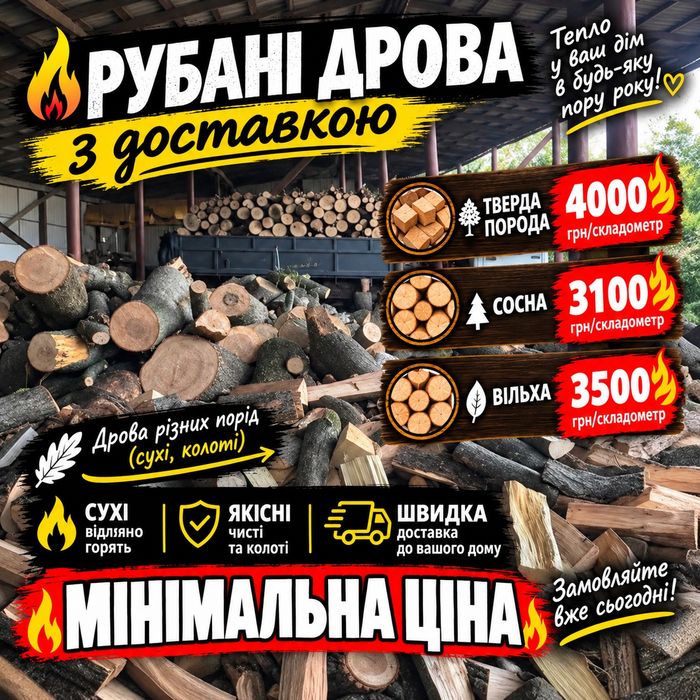 Якісні дрова оптом та в роздріб. Дуб, береза та вільха. Тверда деревина, чесний об’єм, щільна укладка без пустот. Швидко доставимо! 3>5>8>16 м3