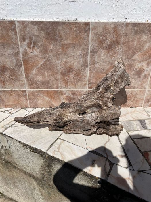 Madeira para Terrário/Aquário - Mais informações dm