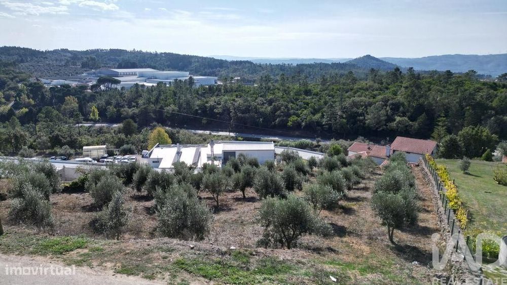 Terreno para construção em São Miguel, Santa Eufémia e Rabaçal