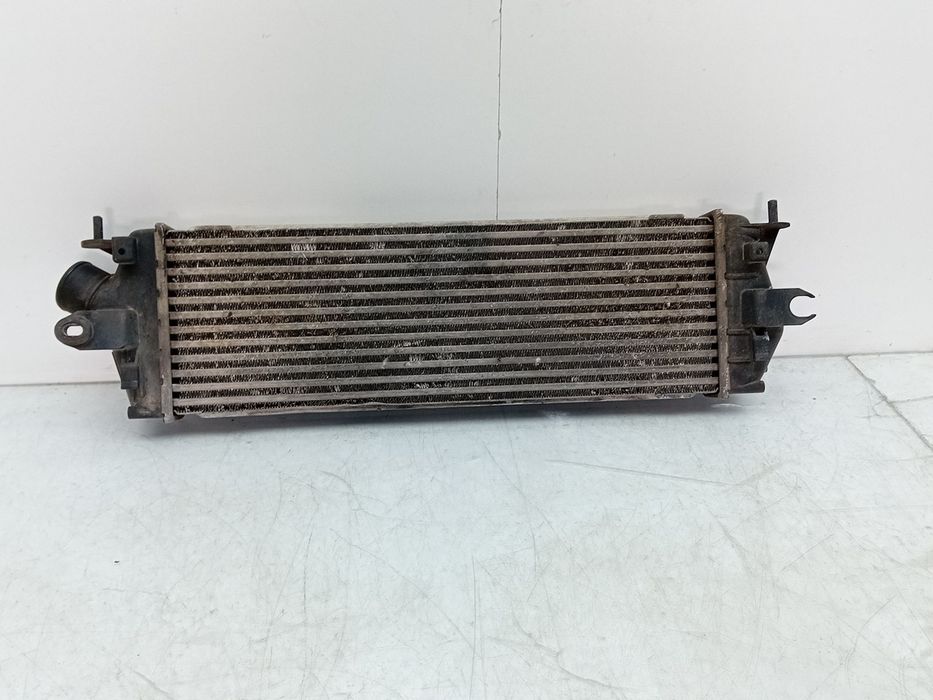 Radiador do intercooler RENAULT Trafic II (FL)